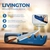 Livington Blade universal pichoq charxlagich, 2 image Livington Blade universal pichoq charxlagich, 2 image